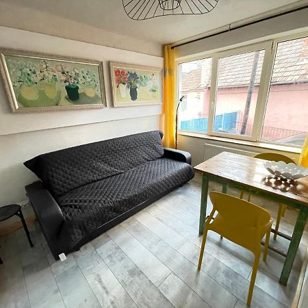 Art Apartments Govora Cluj Exteriér fotografie